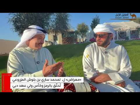«معراض» لـ  لمحمد ساري بن بلوش المزروعي تُحلّق بكاس ولي عهد دبي