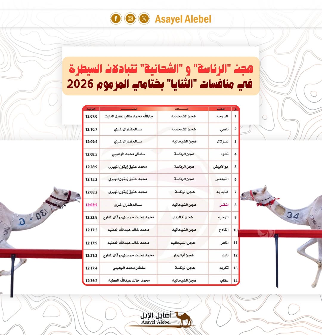 هجن  "الرئاسة" و "الشحانية" تتبادلان السيطرة في منافسات "الثنايا" بختامي المرموم 2026