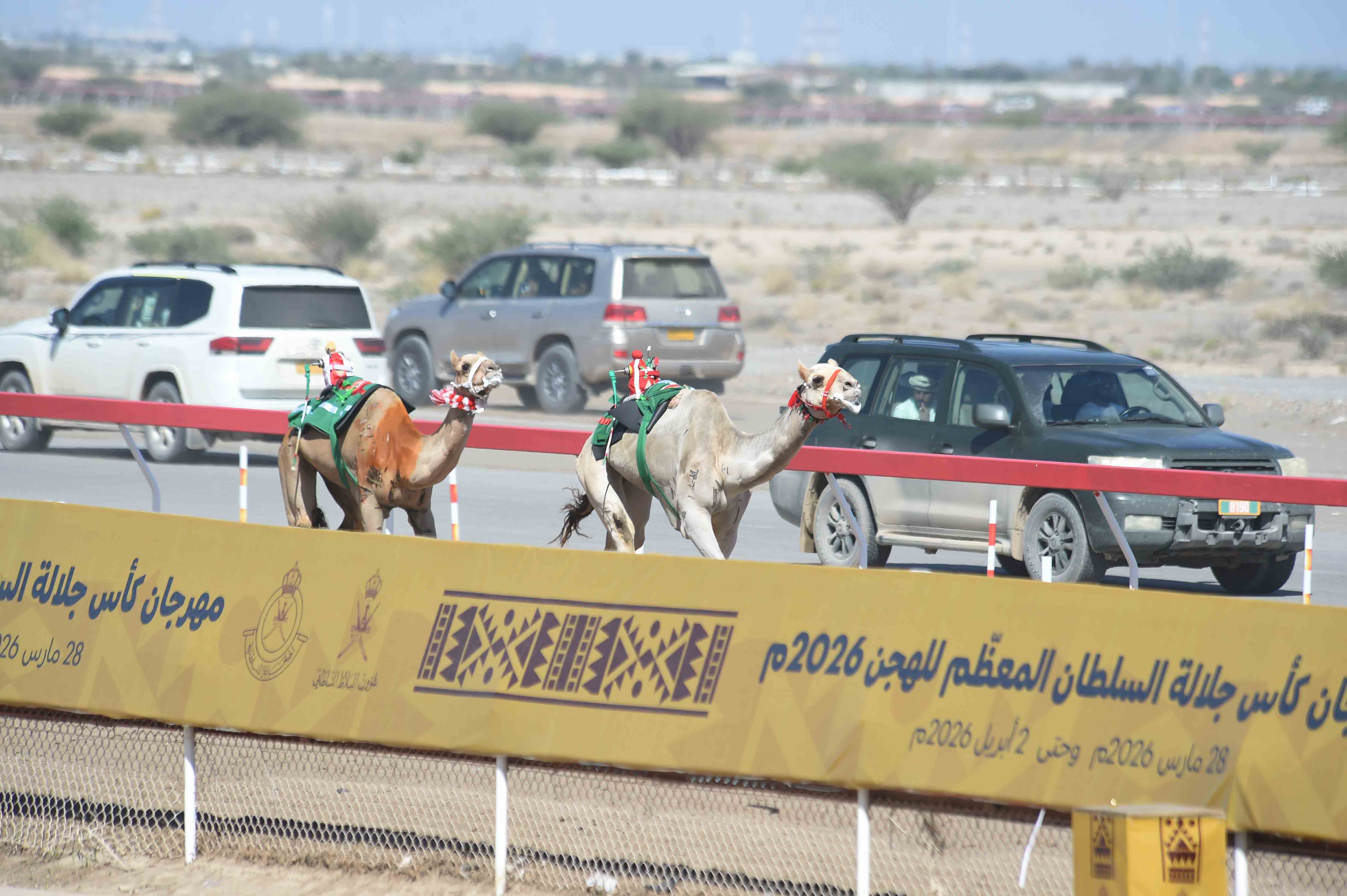 سلطنة عمان : “فند” تتوج بكأس السلطان في بركاء.. ختام استثنائي لمهرجان كأس جلالة السلطان للهجن 2026