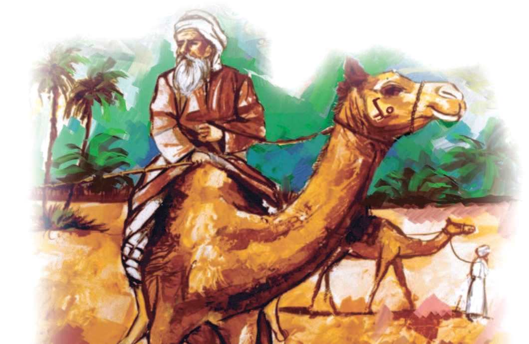 الإبل في الإمارات.. إرث الأجداد ورفيقة الصحراء