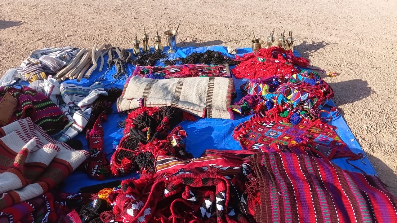 التراث يرافق الهجن في مدينة شرم الشيخ المصرية